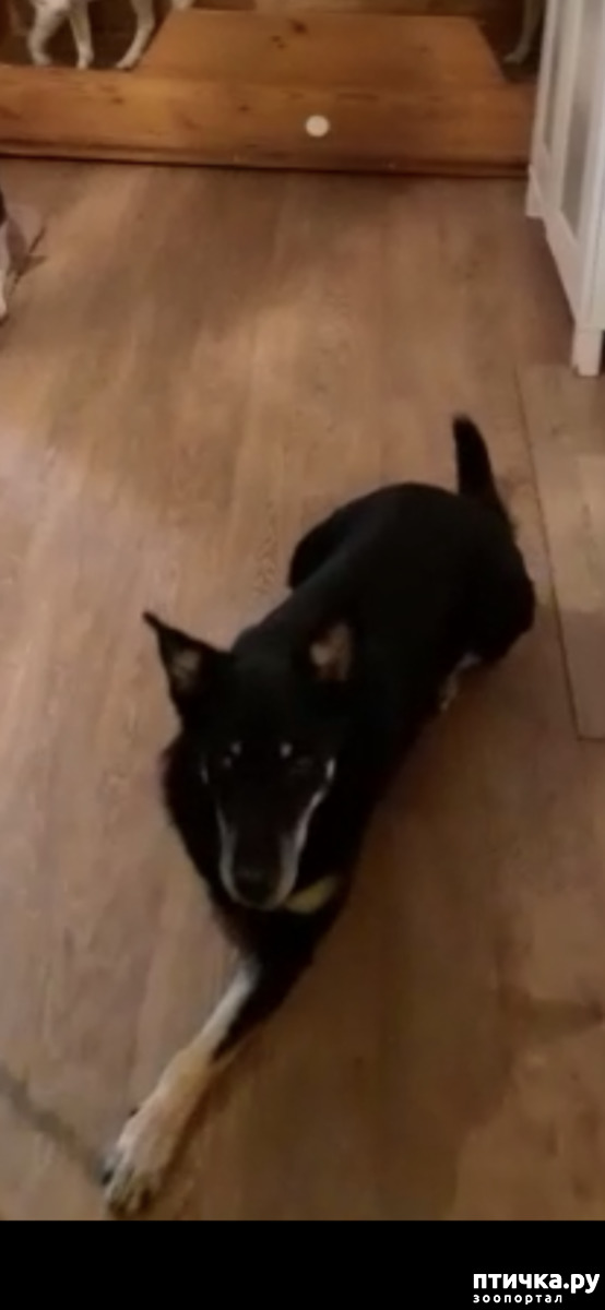 ���� 2: ��������� ������