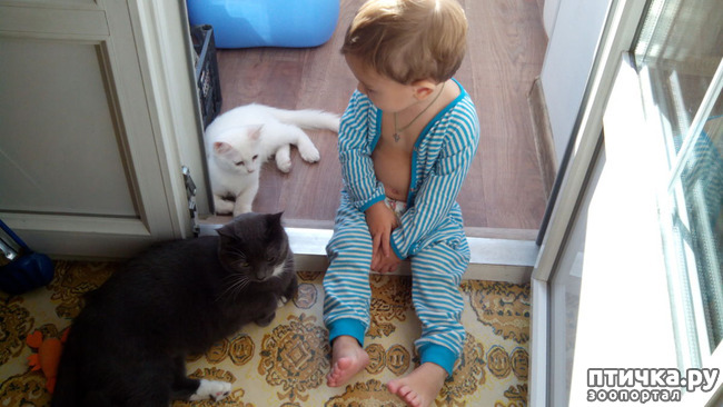 ���� 1: �����