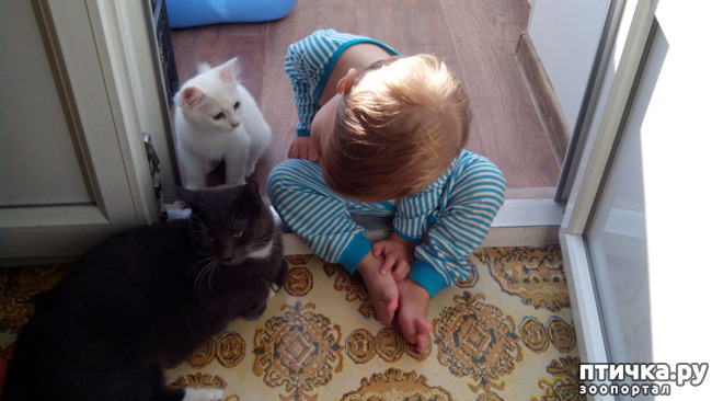 ���� 2: �����