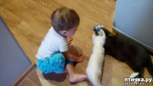 ���� 5: �����