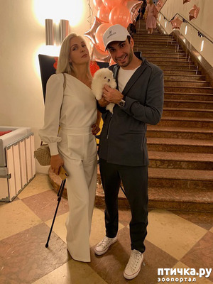 ����: ����������� ���� ���� ��������� ������� �������� ��������� � �������