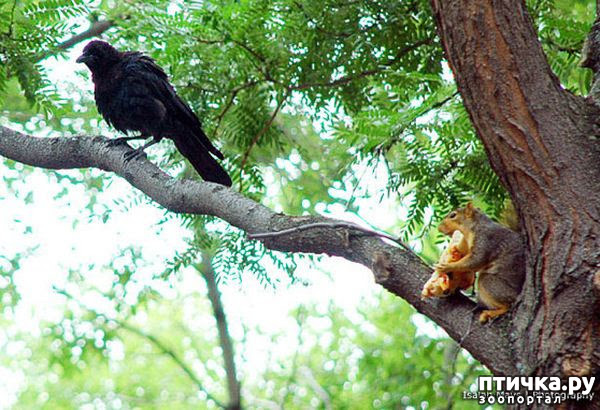 ���� 1: ���������