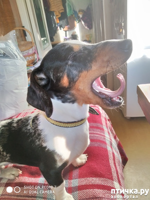 ����: ���� ��������.