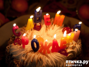 ����: ���� ��������! ������!!!