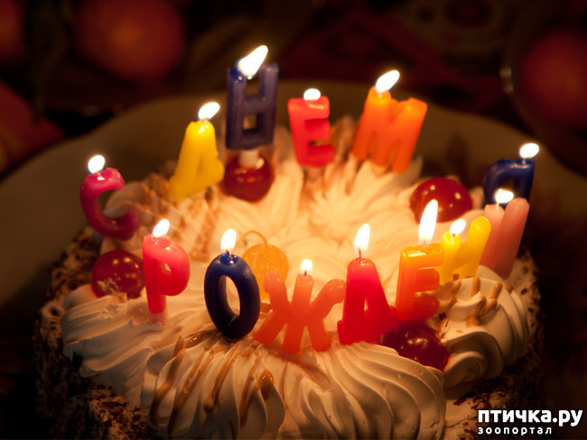 ���� 1: ���� ��������! ������!!!