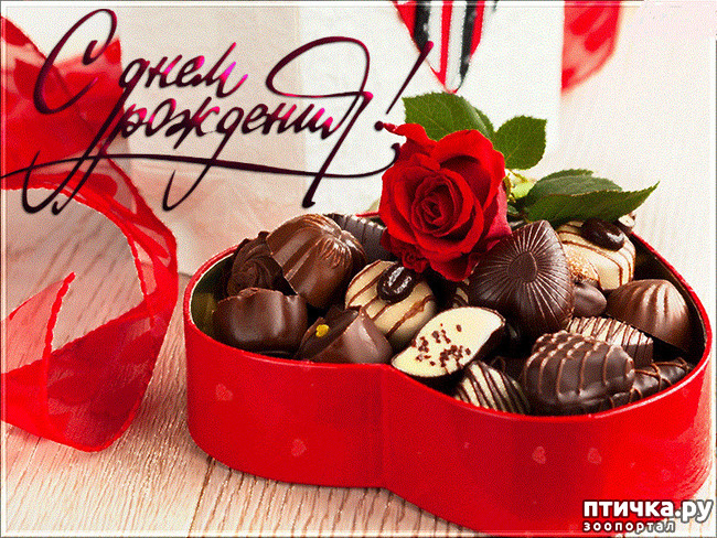 ���� 4: ���� ��������! ������!!!