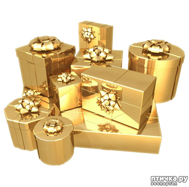 ���� 6: ���� ��������! ������!!!