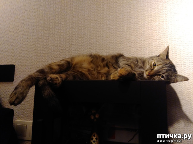 ���� 1: ��, ����, ����...