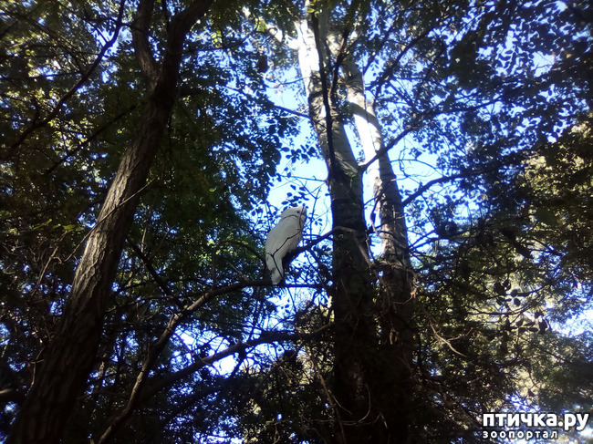 ���� 3: ��� ��������...