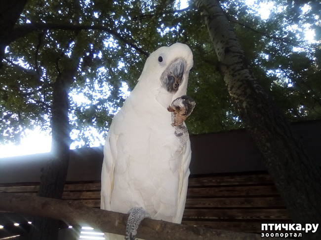 ���� 4: ��� ��������...