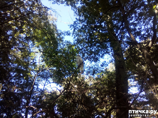 ���� 2: ��� ��������...