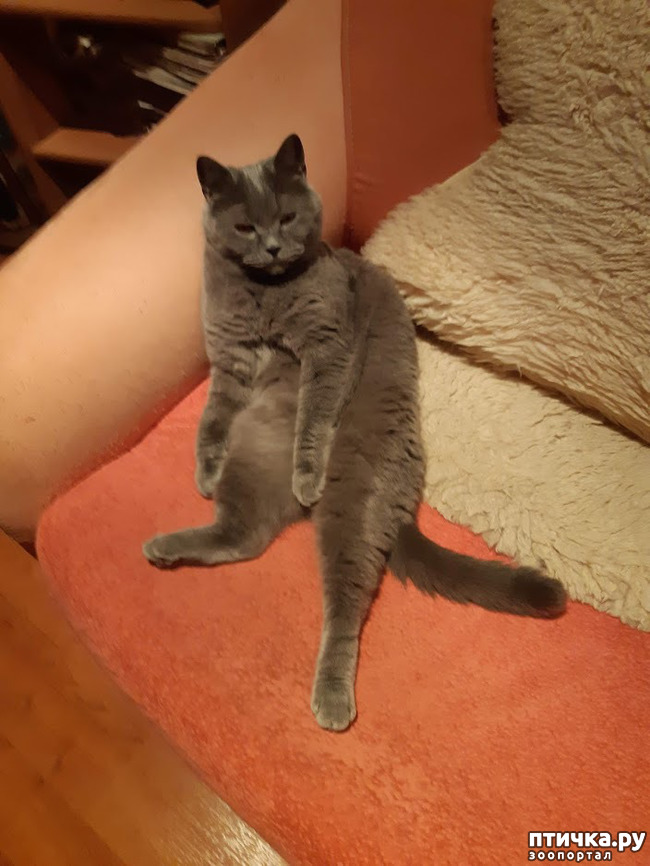 ���� 3: ���� ������, � ����� ������!