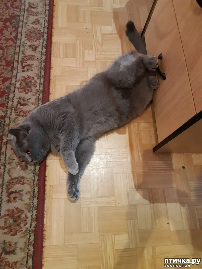 ���� 4: ���� ������, � ����� ������!