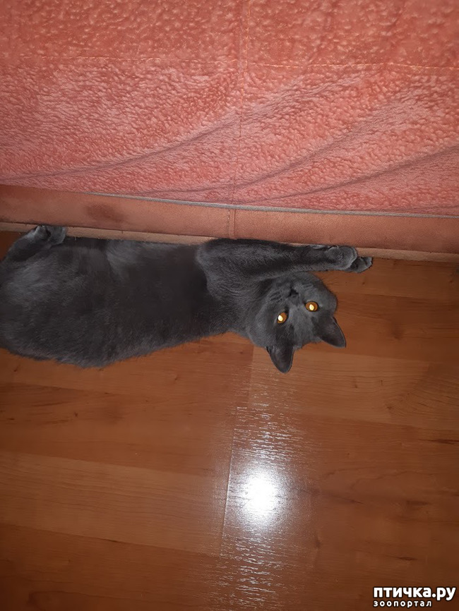 ���� 5: ���� ������, � ����� ������!