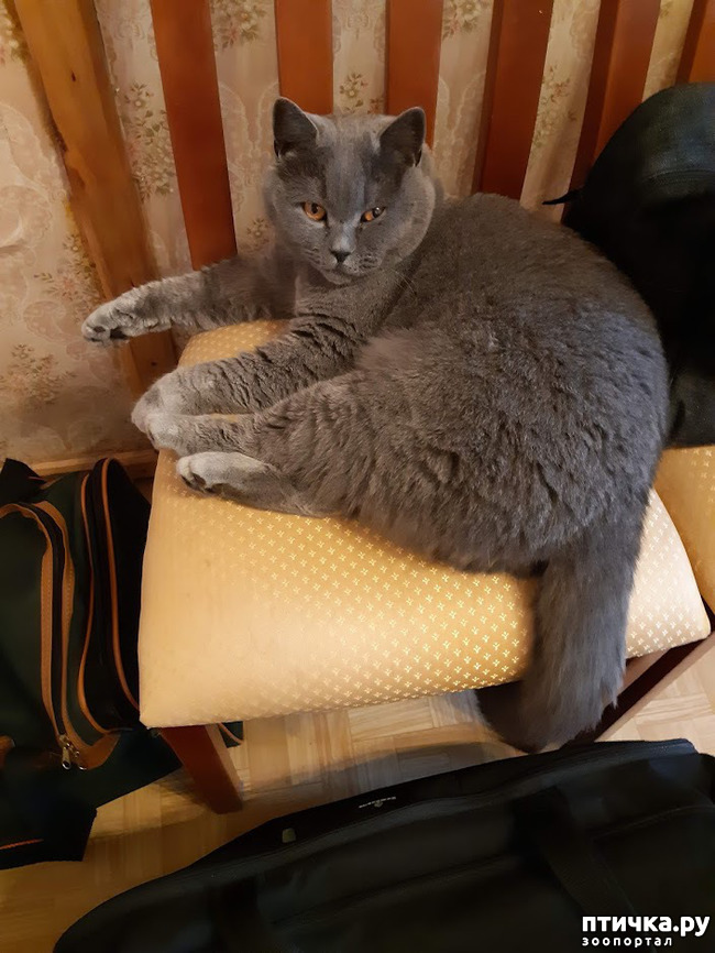 ���� 6: ���� ������, � ����� ������!