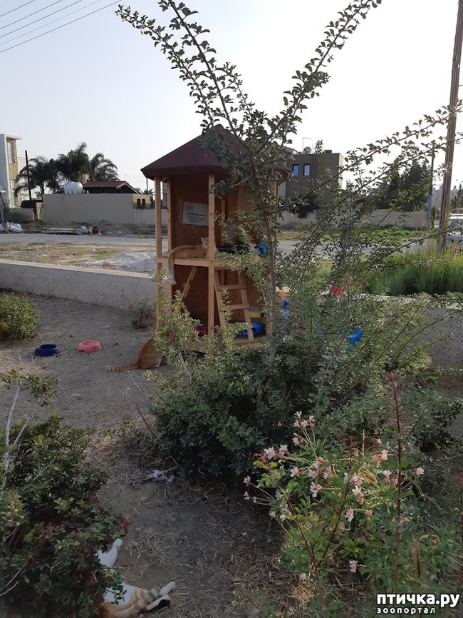 ���� 7: ���� ������, � ����� ������!