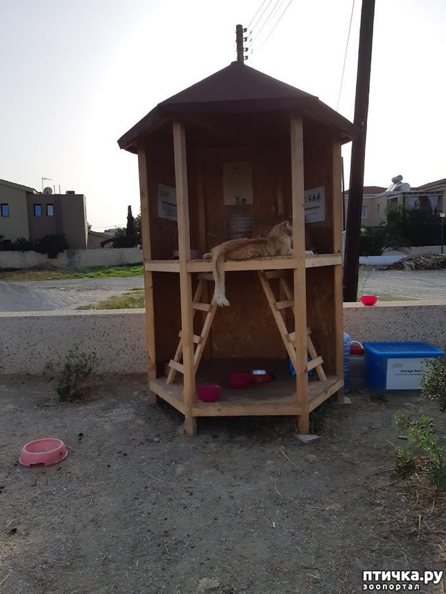 ���� 8: ���� ������, � ����� ������!