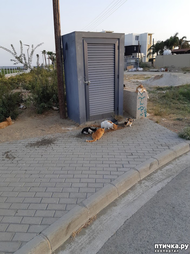 ���� 9: ���� ������, � ����� ������!