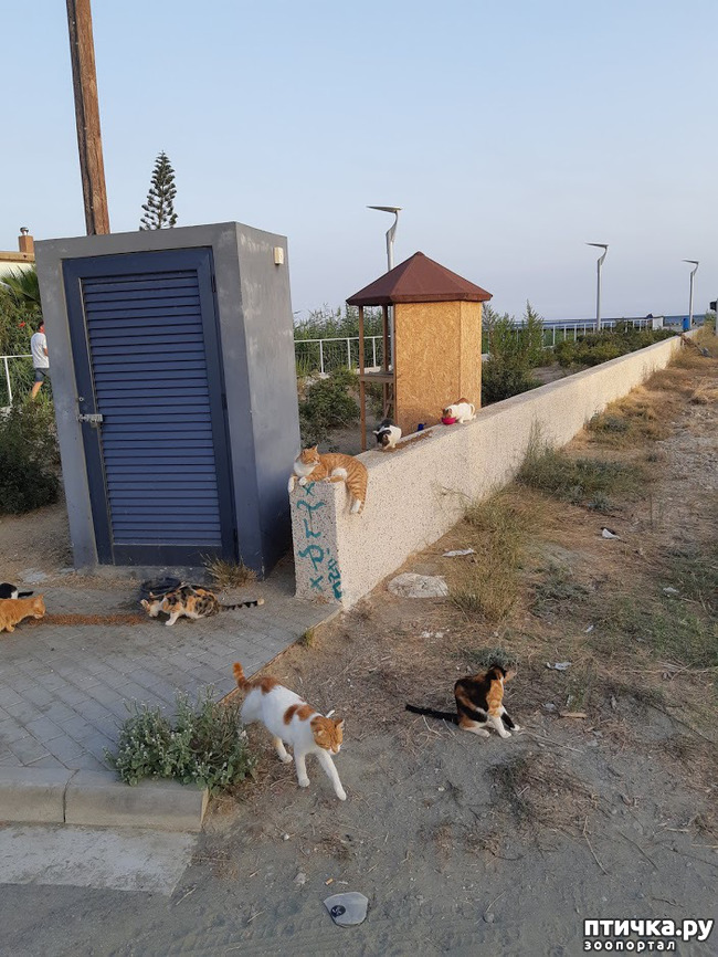 ���� 10: ���� ������, � ����� ������!