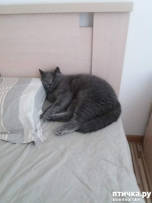 ����: ���� ������, � ����� ������!