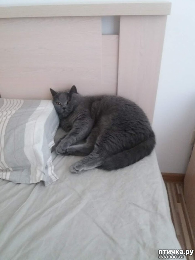 ���� 1: ���� ������, � ����� ������!