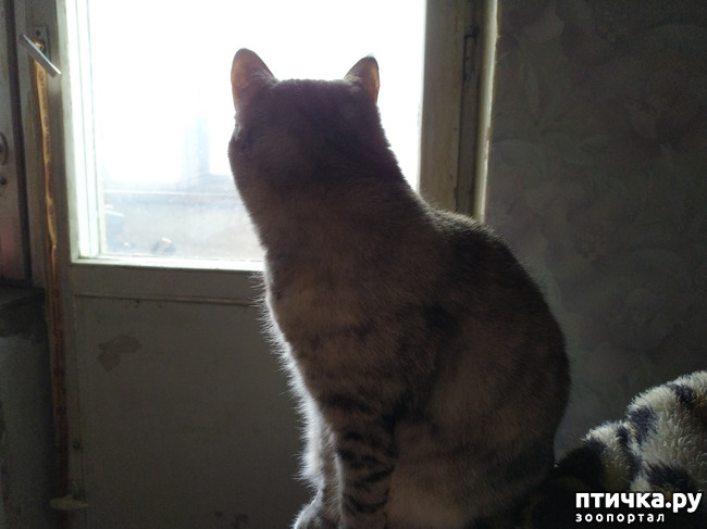 ���� 1: ��������