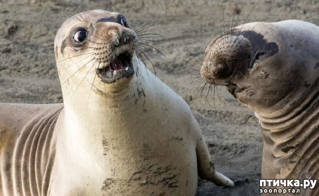 ���� 2: ���� ����� ����������.