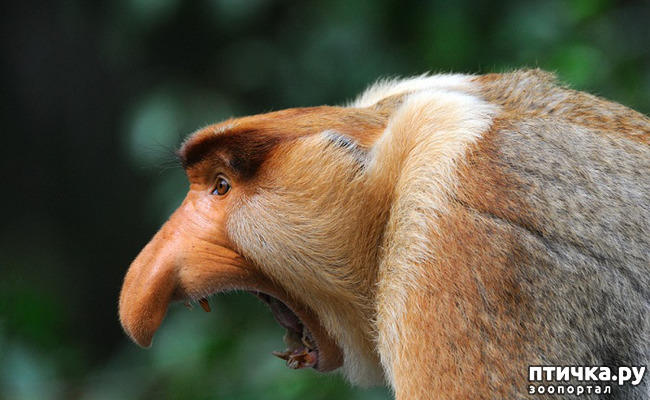 ���� 3: ���� ����� ����������.