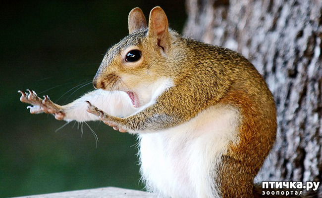 ���� 4: ���� ����� ����������.