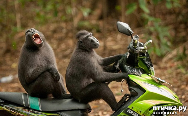 ���� 5: ���� ����� ����������.