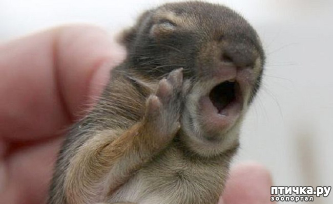 ���� 6: ���� ����� ����������.