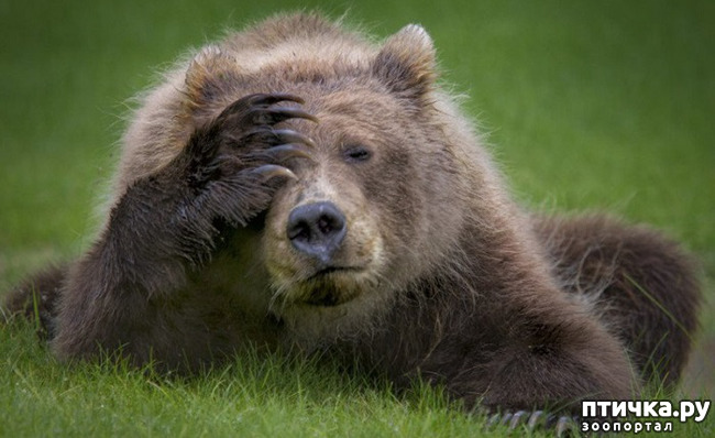 ���� 7: ���� ����� ����������.