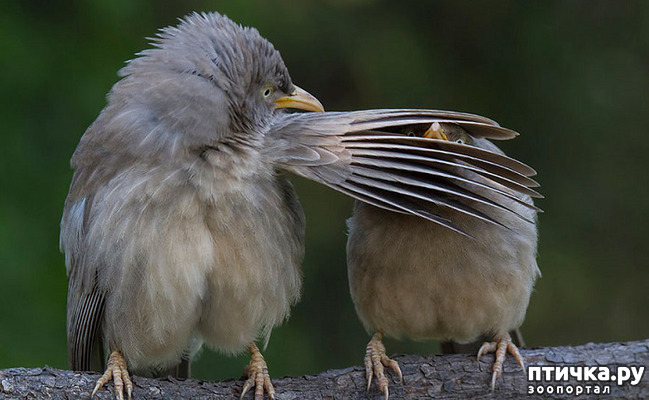 ���� 8: ���� ����� ����������.