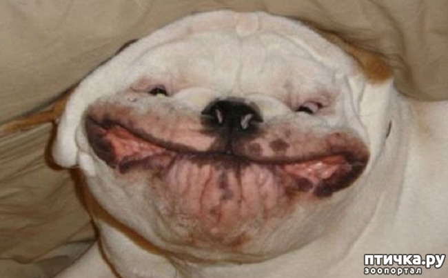 ���� 9: ���� ����� ����������.