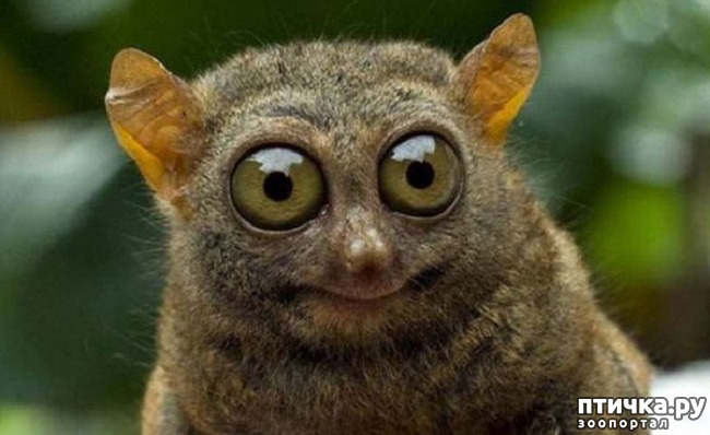 ���� 10: ���� ����� ����������.