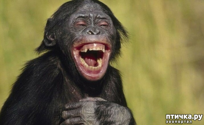 ���� 11: ���� ����� ����������.