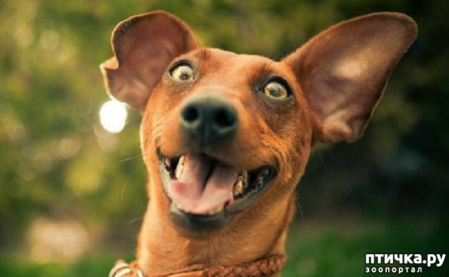 ���� 12: ���� ����� ����������.