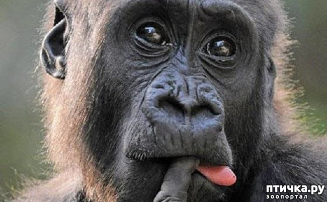 ���� 13: ���� ����� ����������.