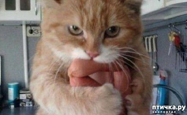 ���� 14: ���� ����� ����������.