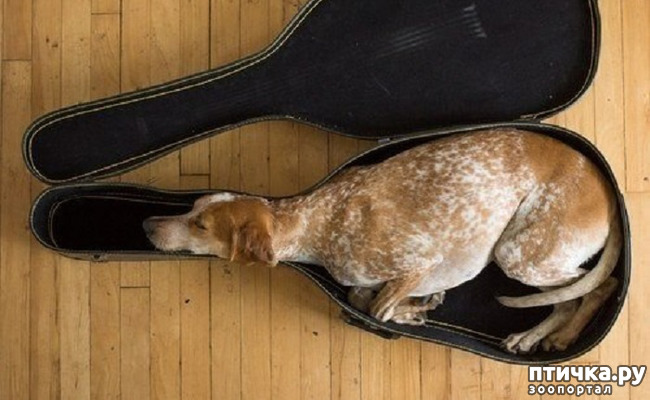 ���� 15: ���� ����� ����������.