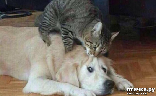 ���� 16: ���� ����� ����������.