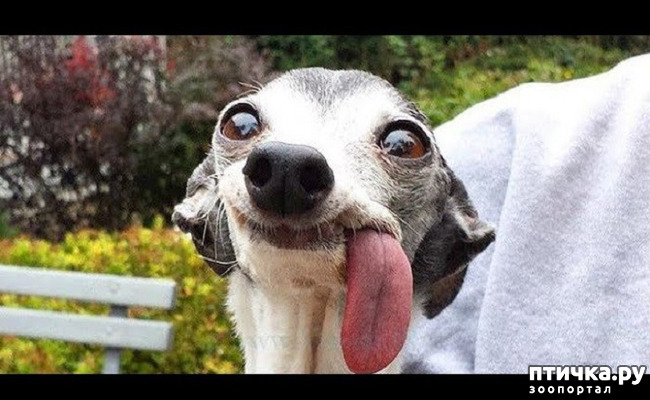 ���� 17: ���� ����� ����������.