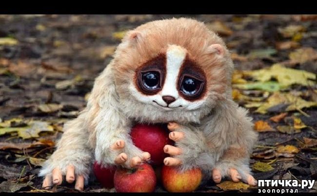 ���� 18: ���� ����� ����������.