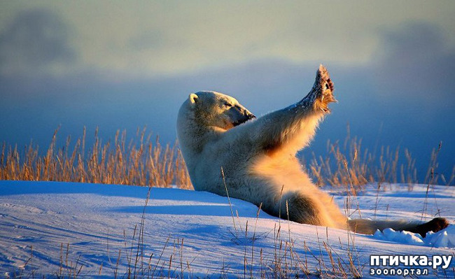 ���� 19: ���� ����� ����������.