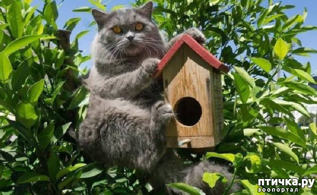 ���� 21: ���� ����� ����������.