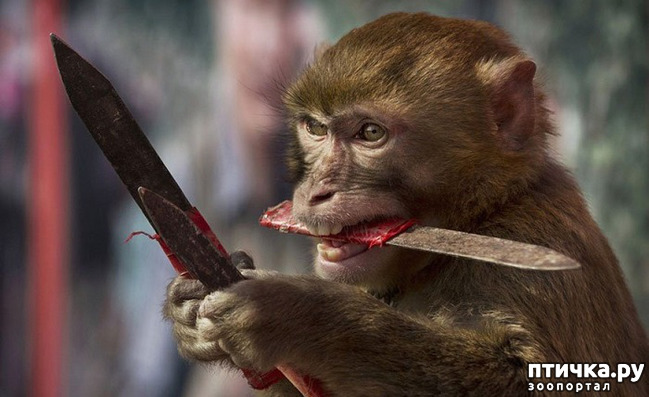 ���� 23: ���� ����� ����������.