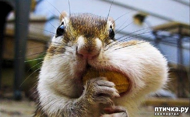 ���� 24: ���� ����� ����������.