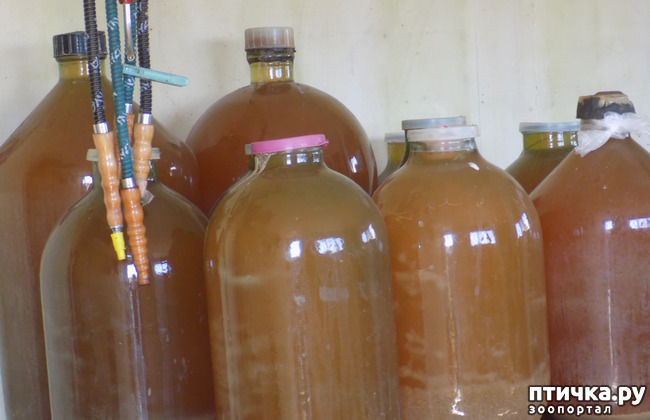 ���� 15: ������� ��������.