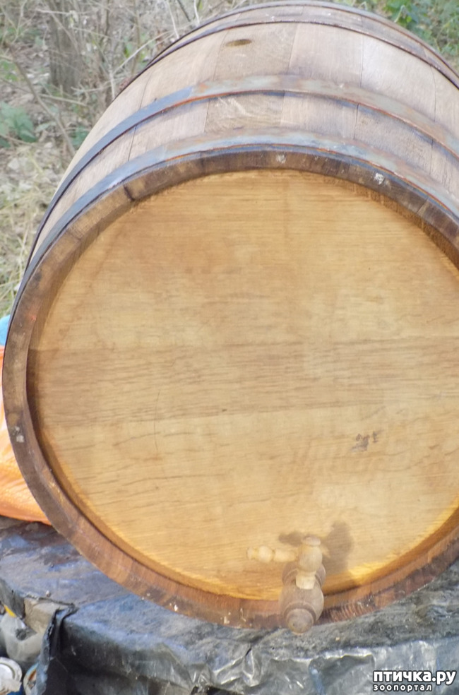 ���� 16: ������� ��������.