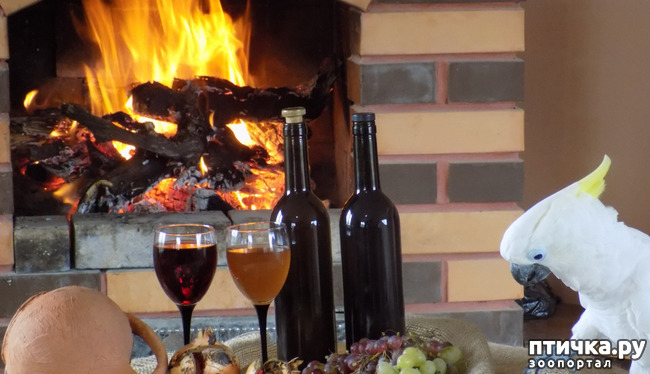 ���� 17: ������� ��������.